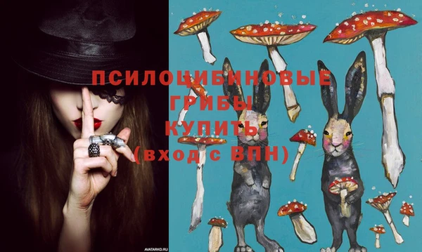 стафф Богданович