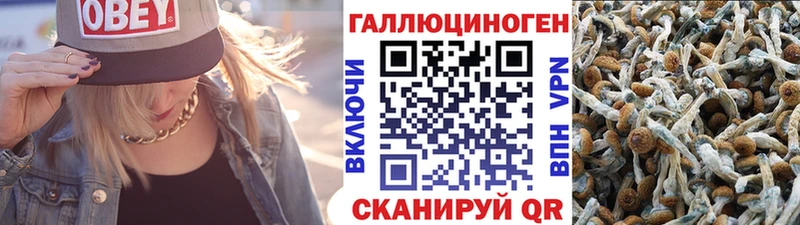Галлюциногенные грибы Cubensis  Гороховец 